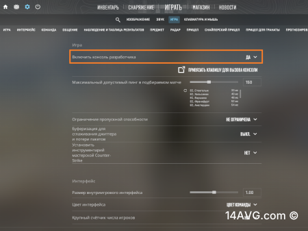 Как включить консоль разработчика в настройках КС 2